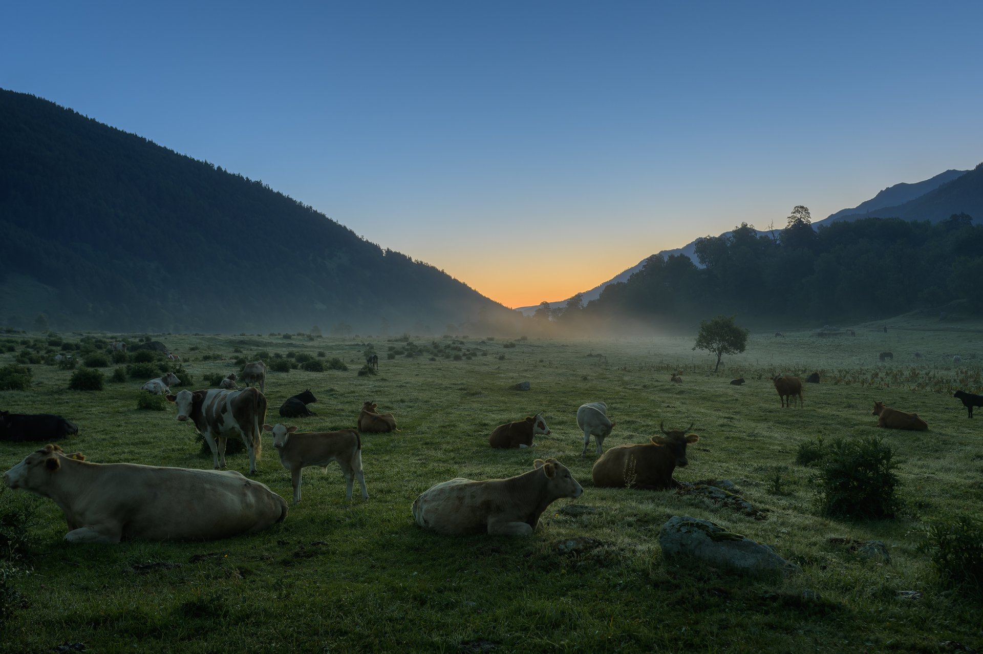 Рассвет в долине реки Аксаут