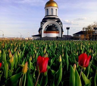 Весна в городе