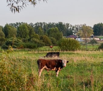 Парад планет