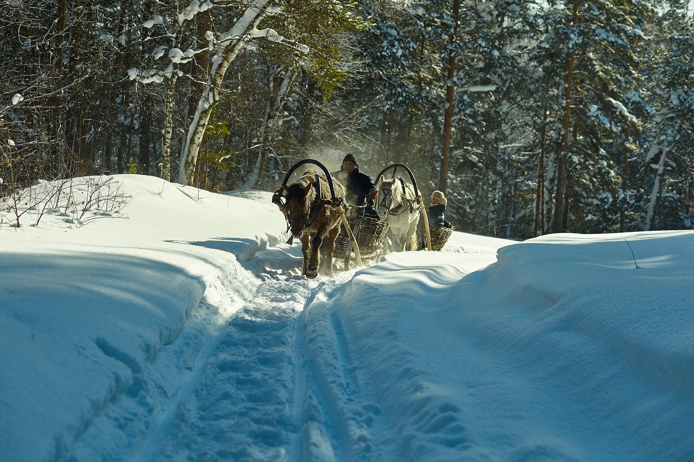 Долгий путь