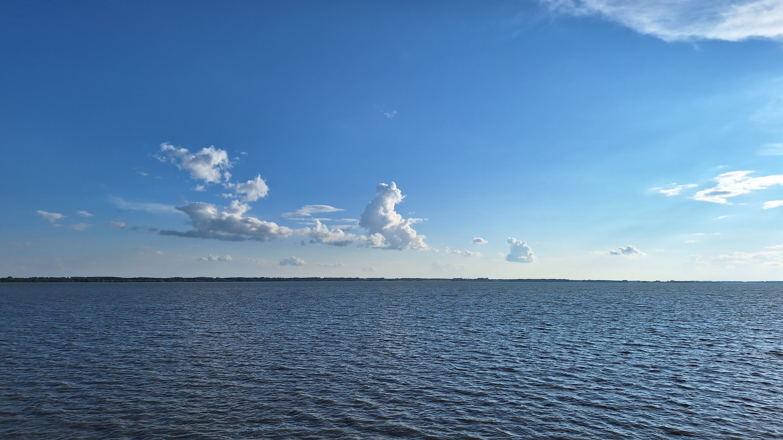 Кот рыбу ловит