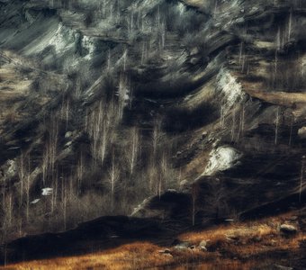 Ритмы осени