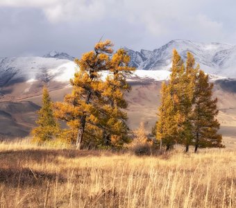 Осенний хоровод