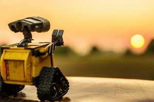 Учёные создают биогибридных роботов под управлением грибов