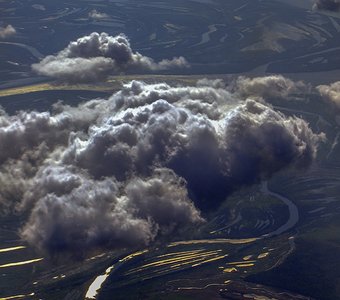 Низовья реки Обь