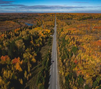 Сквозь осень