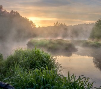 Золотое утро..