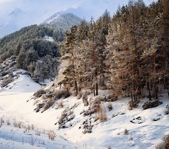 Музыка зимы