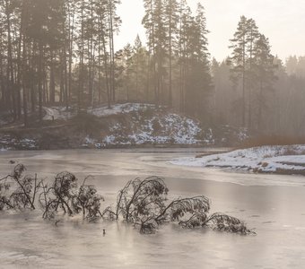 Туманное январское утро