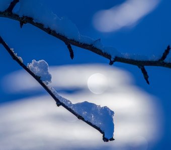 Восход снежной Луны