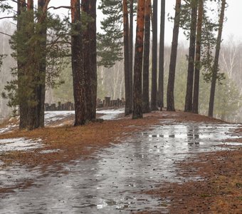 Ледяные дороги