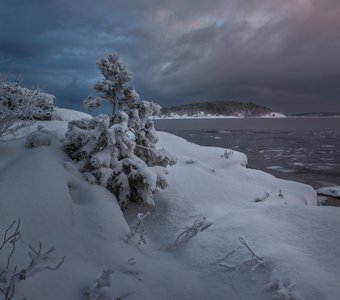 Ладожские ёлочки