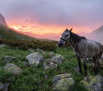 Закат в конном походе