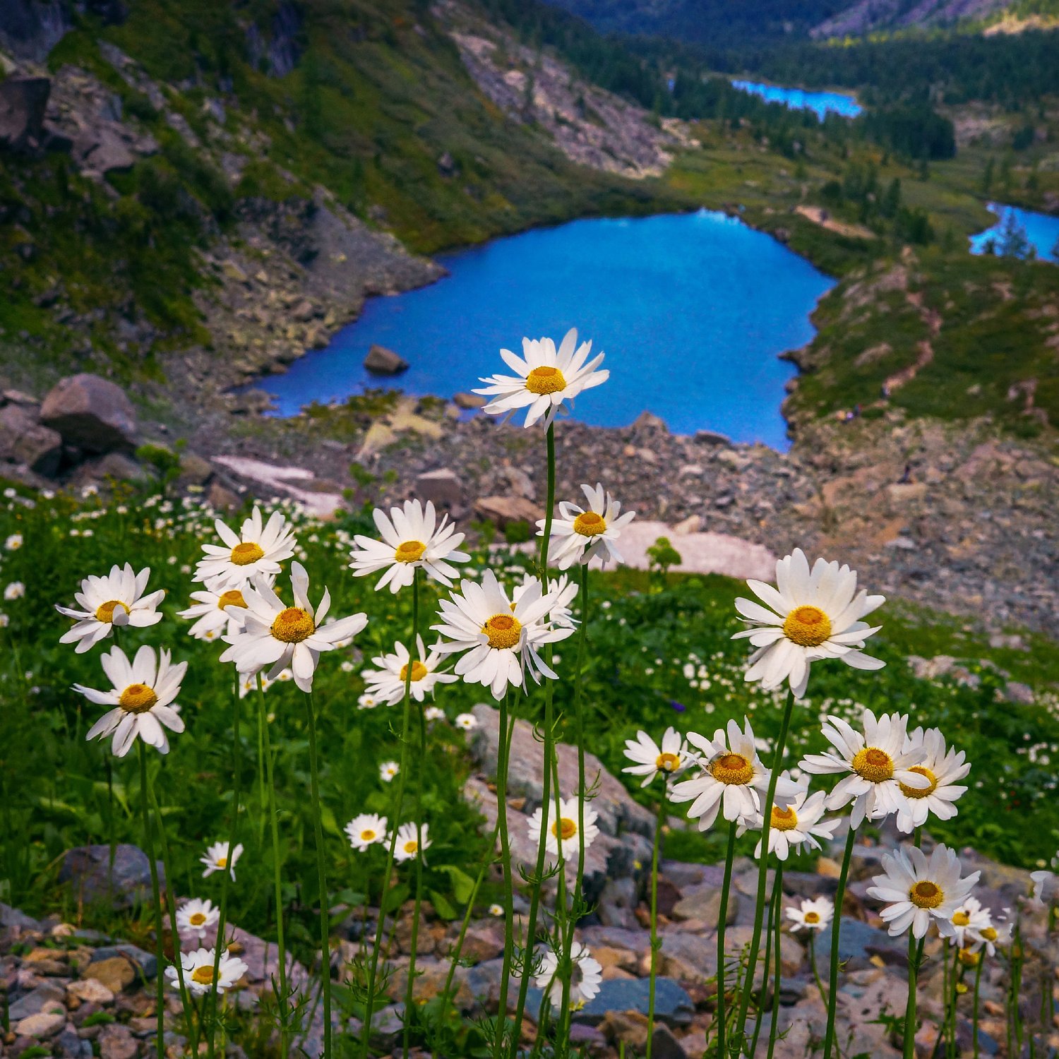 Каракольские озера,Горный Алтай