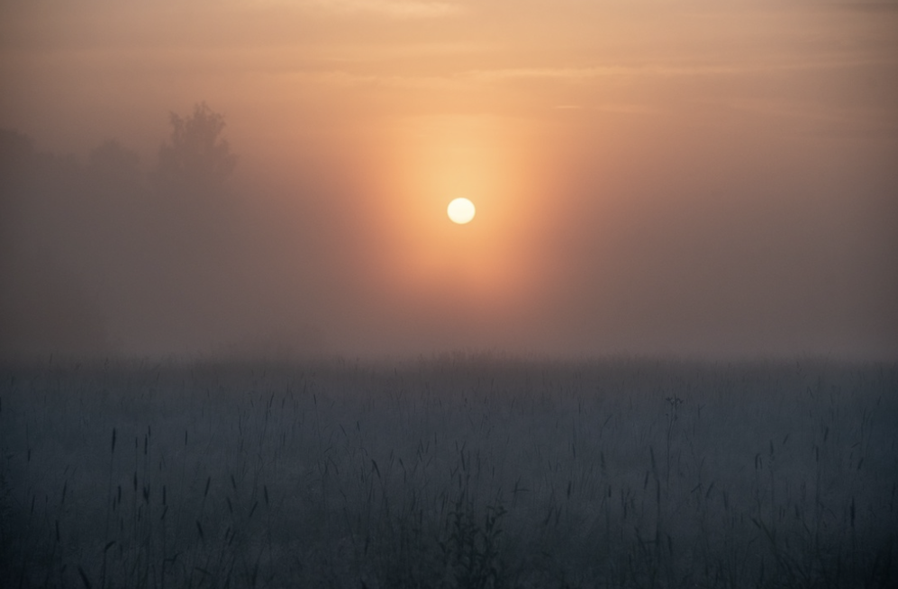 История одного снимка: однажды в ослепительном Подмосковье