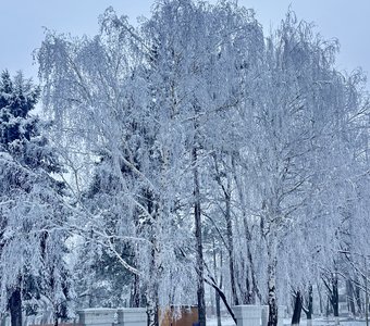 Зимние невесты 👰‍♀️