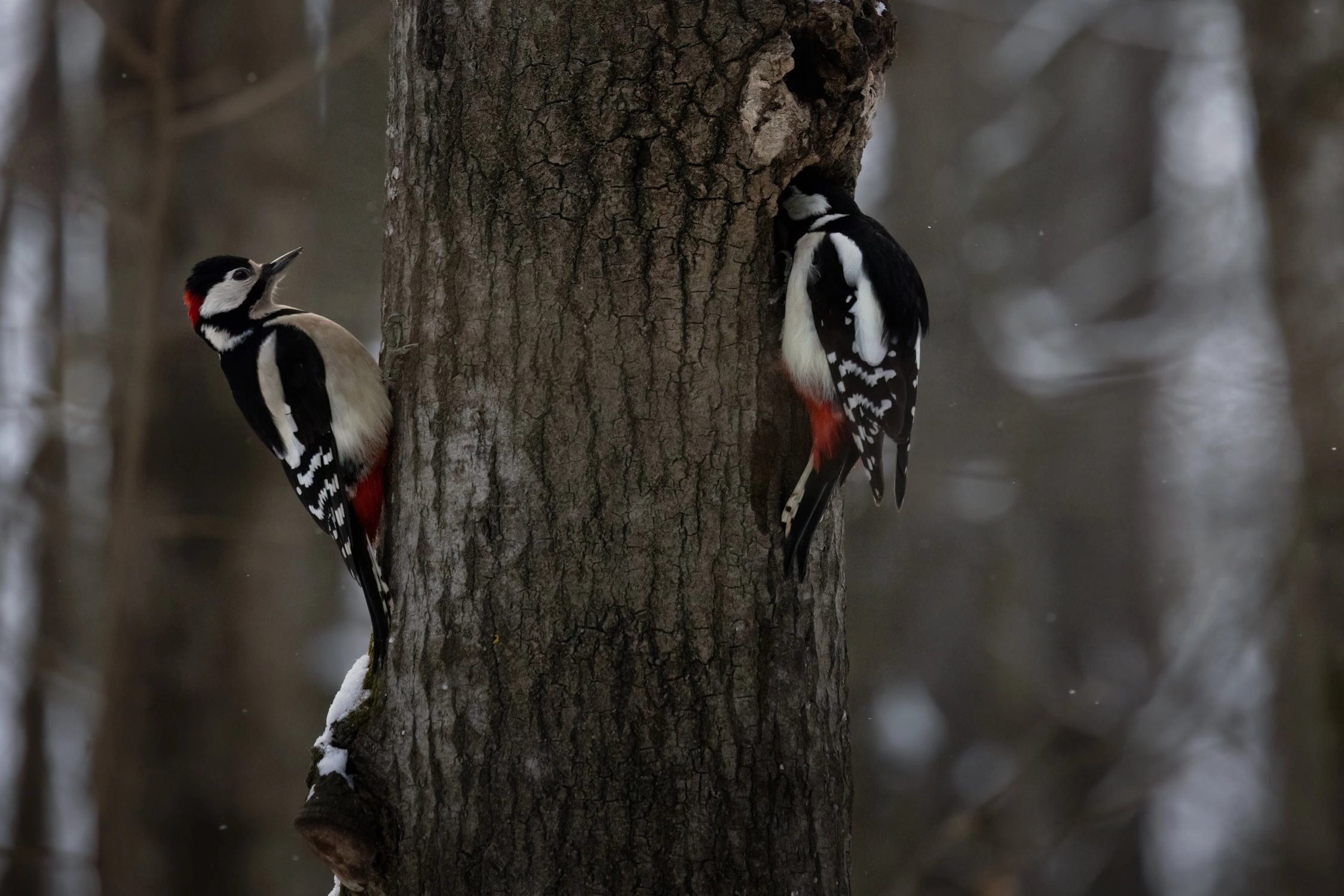 Сложный выбор