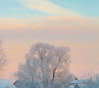 Вспоминаю зиму 2019. . .