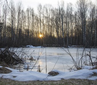 Январская оттепель