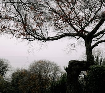 Идеальная осанка