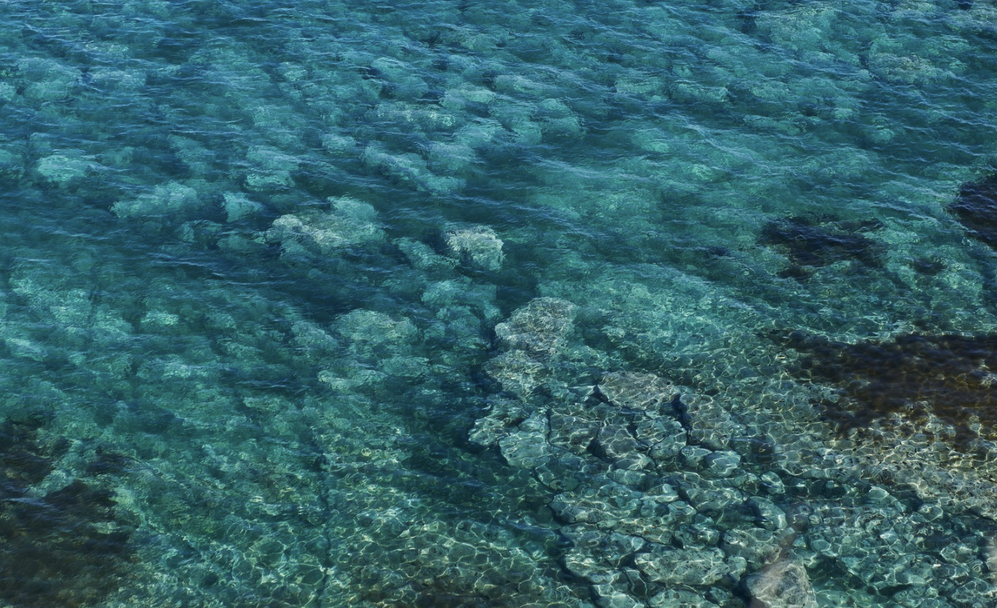 Экологическая катастрофа в Анапе: туристов будут привлекать музеями