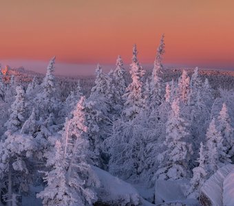 Морозная свежесть