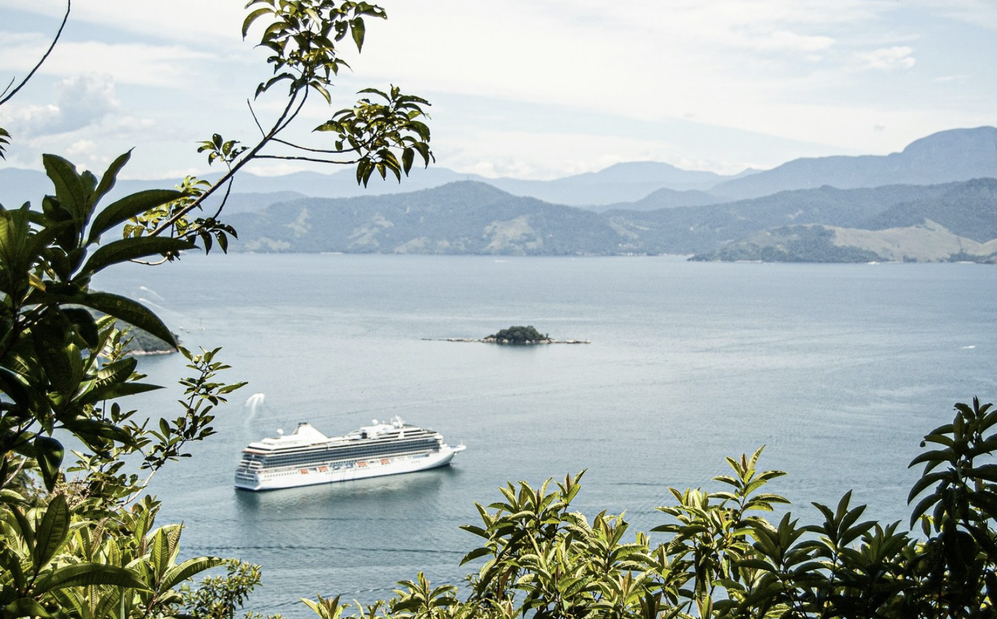 Мэр Ниццы запретил заход круизных судов в порт