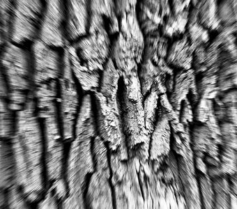 "Морщины природы"