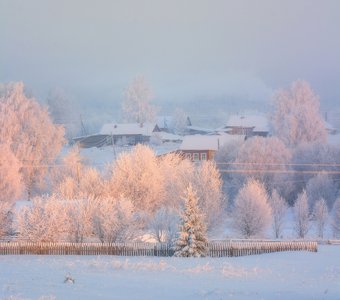 Краски зимнего утра