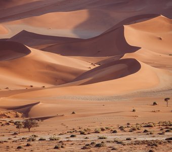 Дюны Намиба