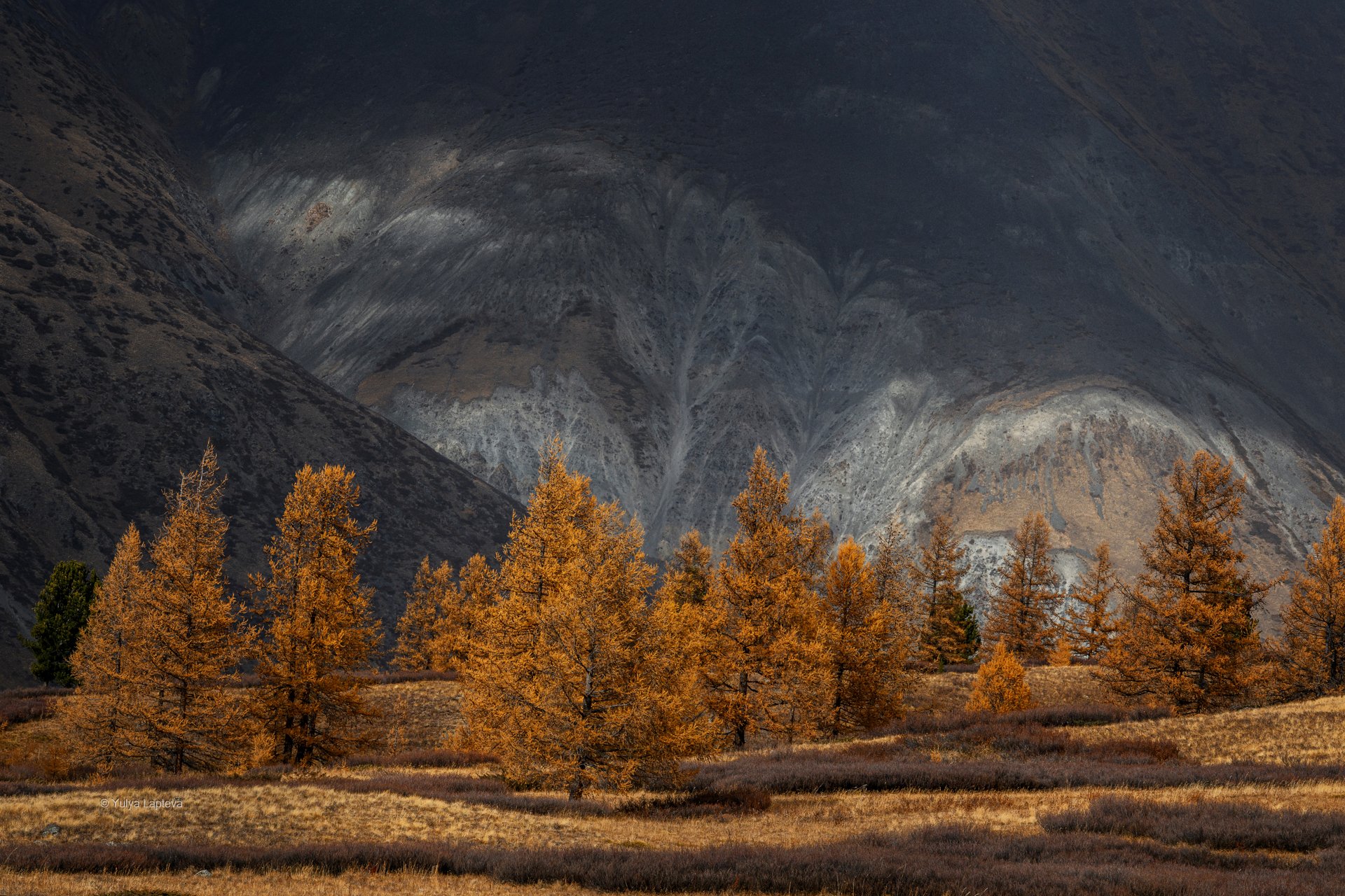 Всевидящее око