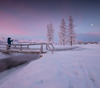 Нежный рассвет в селе Курай