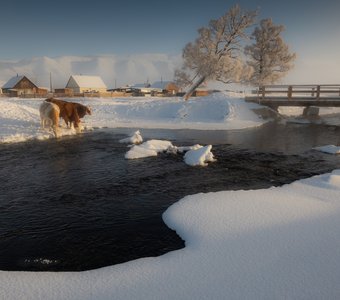 Обычный день в селе Курай