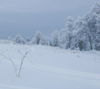 Зимний монохром