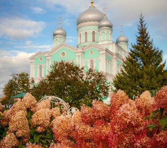 Гортензии на фоне Троицкого собора