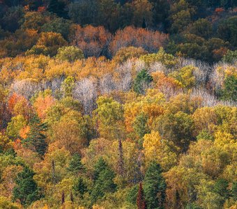 Краски осени