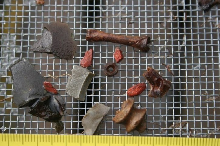 Фото: ИИМК РАН