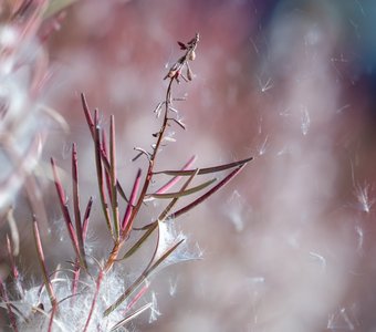 Невесомость