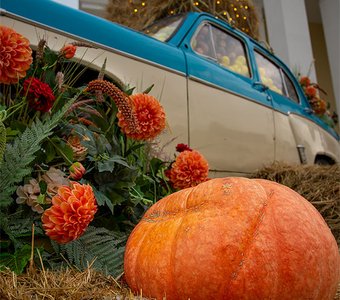 Хороший урожай