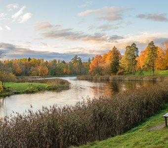 Осенний пейзаж Приоратского парка Гатчины