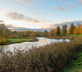 Осенний пейзаж Приоратского парка Гатчины