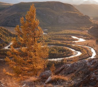 С видом на Чую