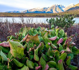 На берегу Северного Байкала. Октябрь.