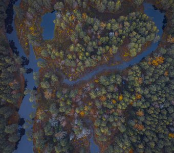 В сердце Мещеры