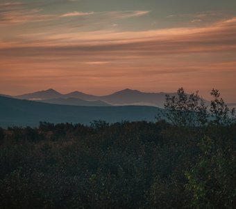 Вечерние сопки