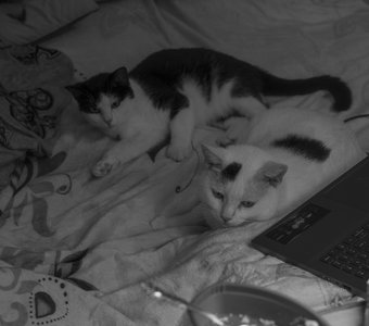 В ожидании новой серии