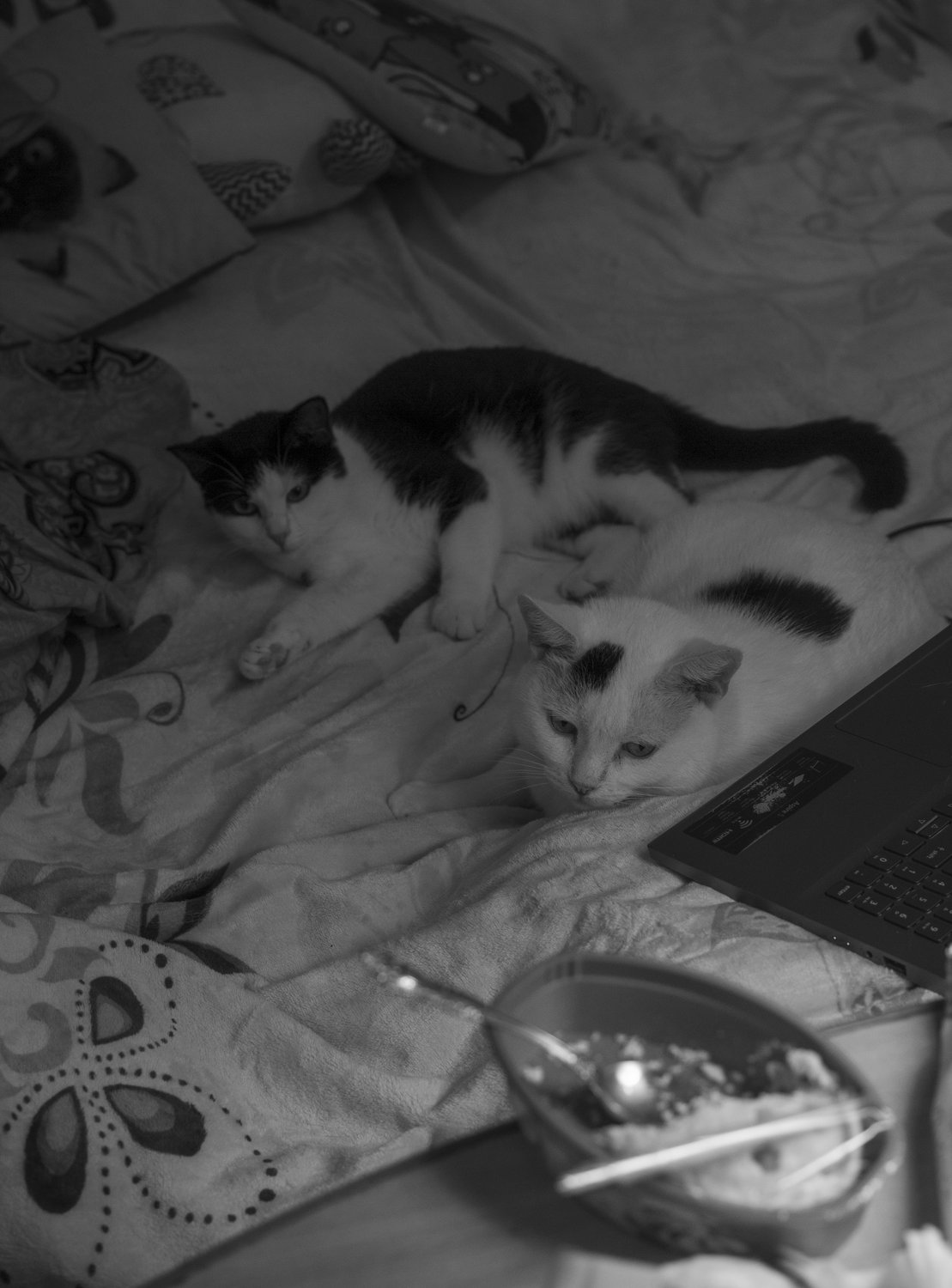 В ожидании новой серии