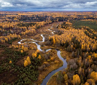 Осенняя река