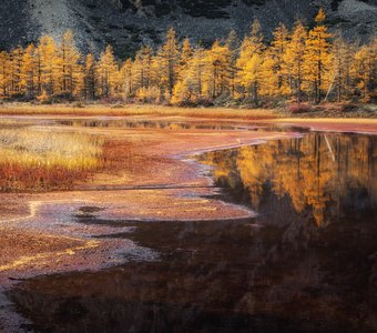 Золото на Юге