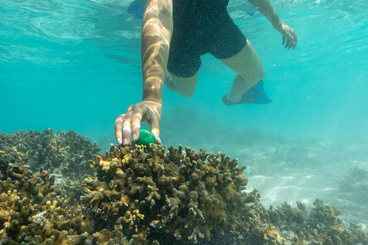 Фото: Baros Maldives